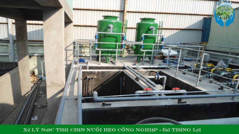 Xử lý nước thải chăn nuôi heo công nghiệp - Đại Thắng Lợi